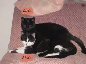 Carlo + Paulo